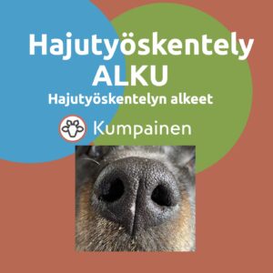 Hajutyöskentely - ALKU