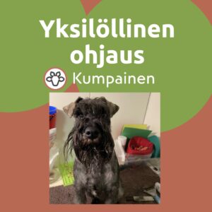 Yksilöllinen ohjaus 1h