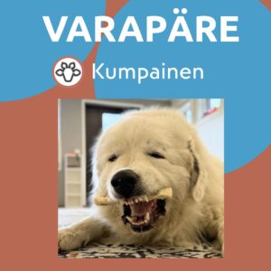 VARAPÄRE puhelinaika 30 min