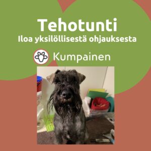 Tehotunti - Iloa yksilöllisestä ohjauksesta