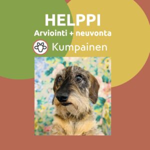 HELPPI 30 min