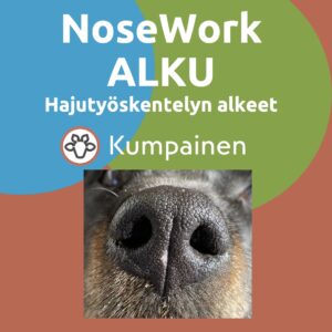NoseWork ALKU