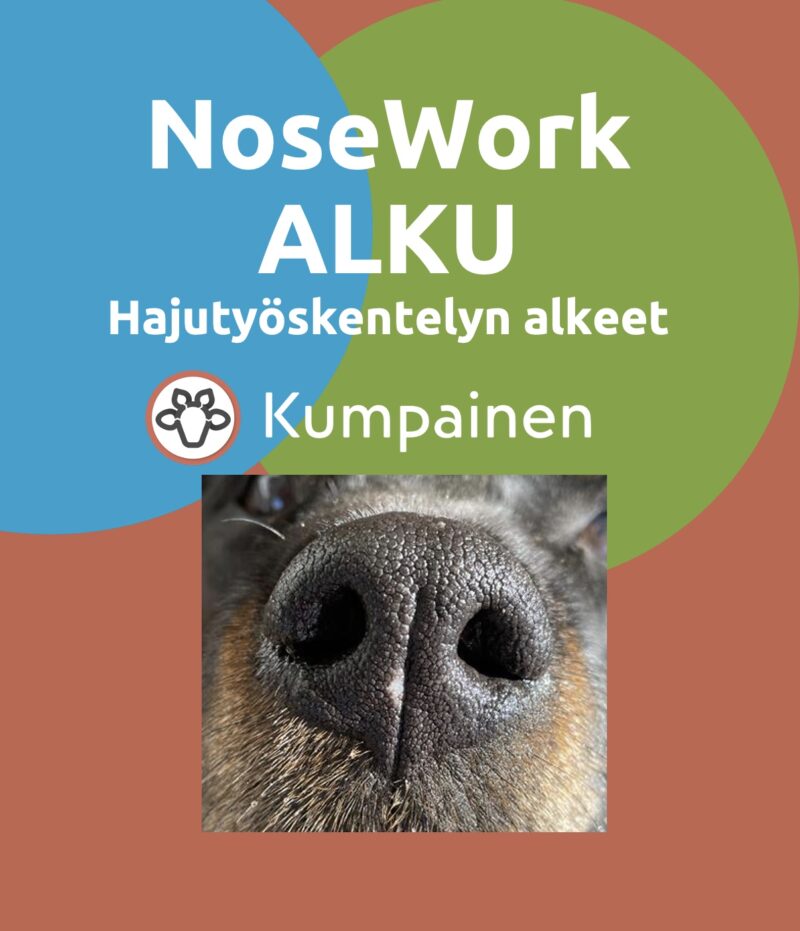 NoseWork ALKU