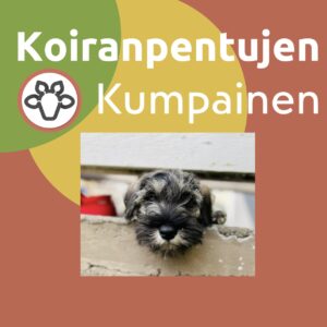 Koiranpentujen Kumpainen 5x45min maanantaisin klo 17.00/IISALMI