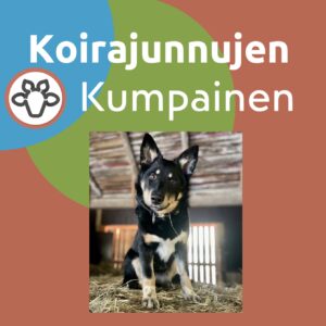 Koirajunnujen Kumpainen 5x45min maanantaisin klo 18.00/IISALMI