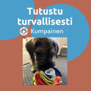 Tutustu turvallisesti 45 min tiistaisin IISALMI