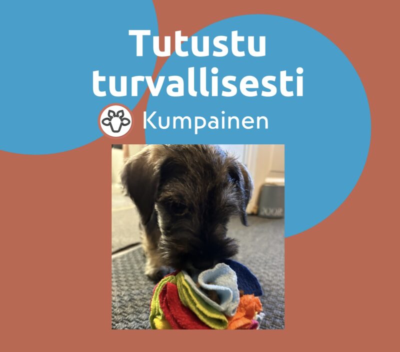 Tutustu turvallisesti 45 min tiistaisin IISALMI