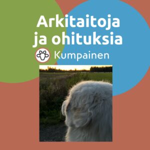 Arkitaitoja ja ohituksia 45 min torstaisin klo 18 LAPINLAHTI