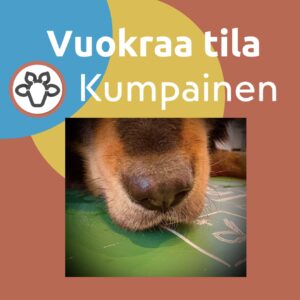 Vuokraa tila