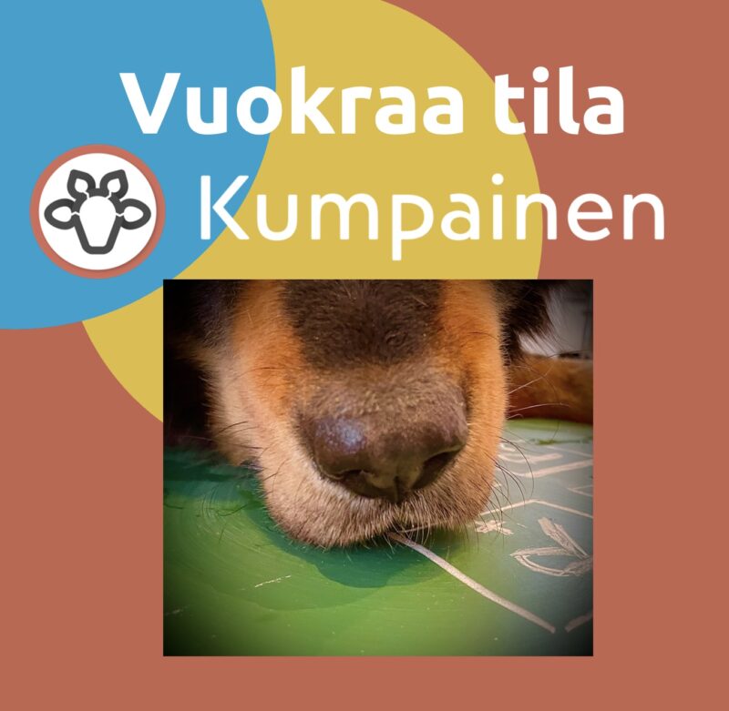 Vuokraa tila