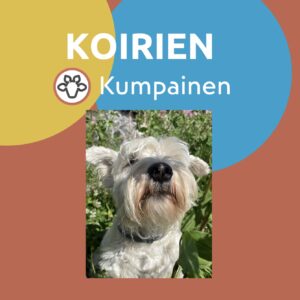 Koirien Kumpainen 5x45min tiistaisin klo 19.00 IISALMI