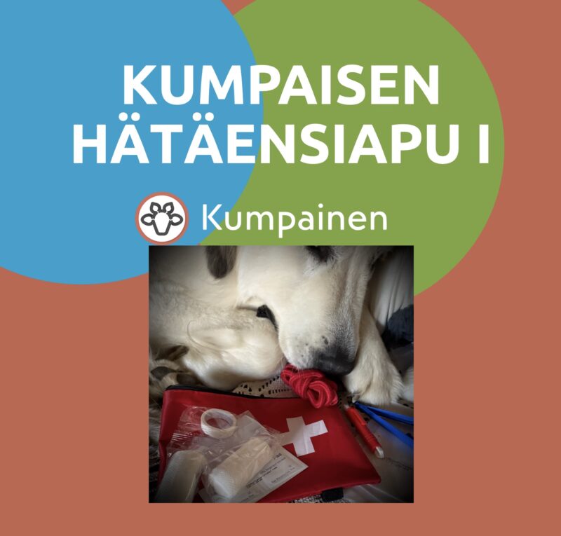 KUMPAISEN HÄTÄENSIAPU I  Koiranomistajan perustaidot hätätilanteessa lauantaina 30.8.2025