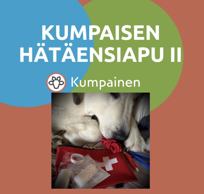 KUMPAISEN HÄTÄENSIAPU II Teoriasta käytännön harjoituksiin lauantaina 20.9.2025 klo 11-14