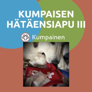 KUMPAISEN HÄTÄENSIAPU III Ennaltaehkäise hätätilanteet  lauantaina 11.10.2025 klo 11-13