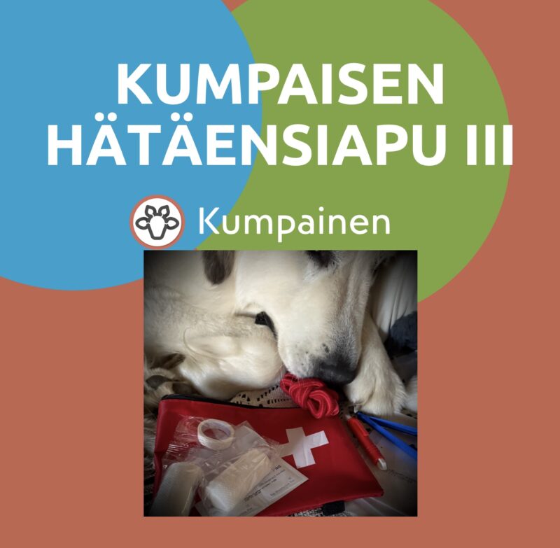 KUMPAISEN HÄTÄENSIAPU III Ennaltaehkäise hätätilanteet  lauantaina 11.10.2025 klo 11-13