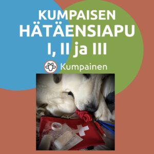 KUMPAISEN HÄTÄENSIAPU I, II ja III