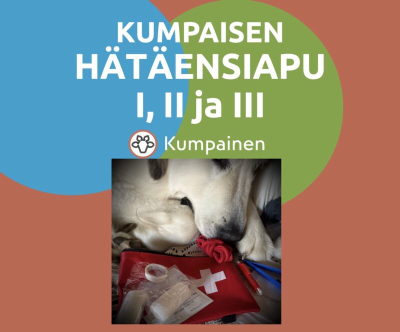 KUMPAISEN HÄTÄENSIAPU I, II ja III